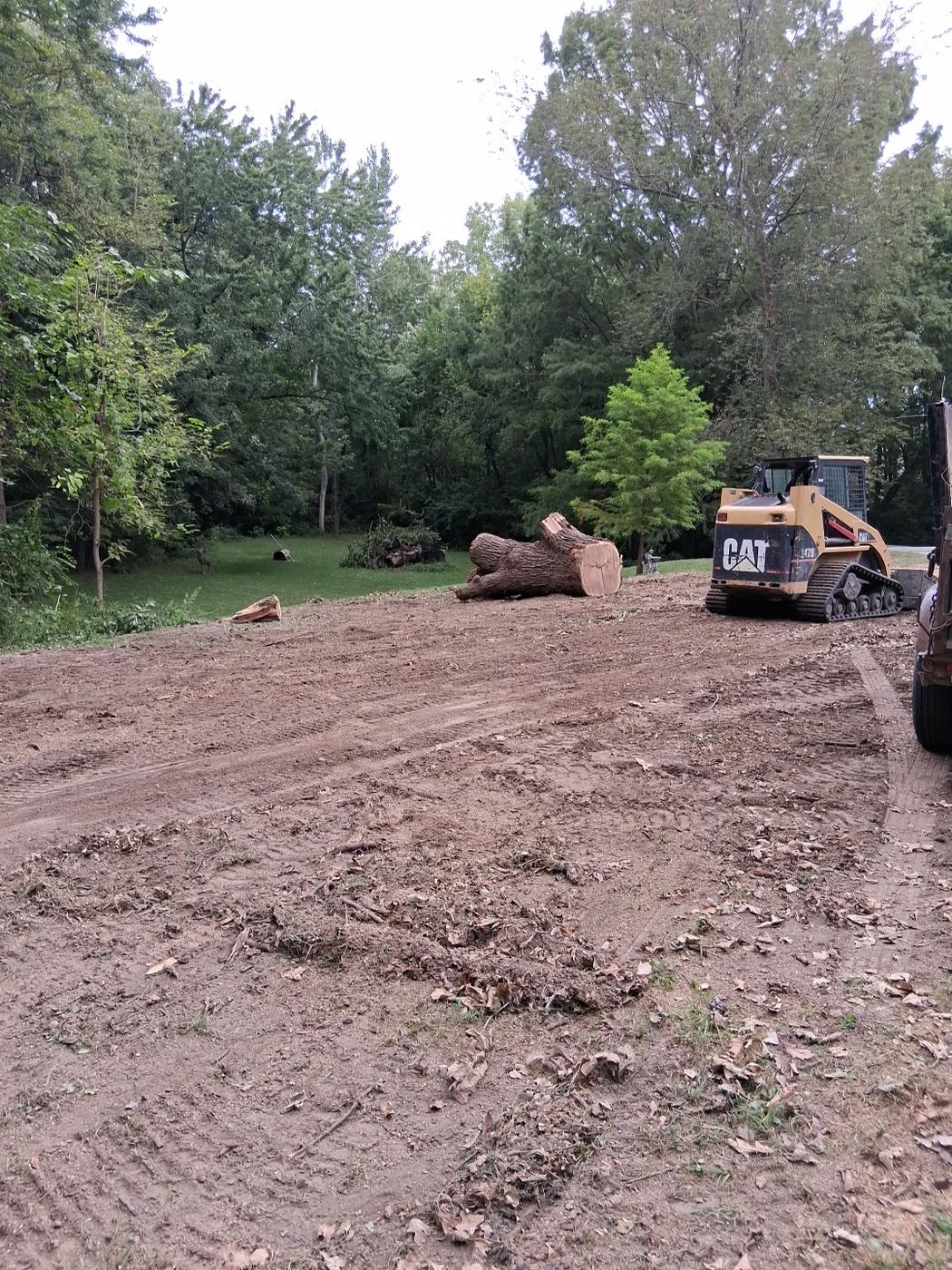 A tracked skid steer on a cleared lot beside a large felled trunk