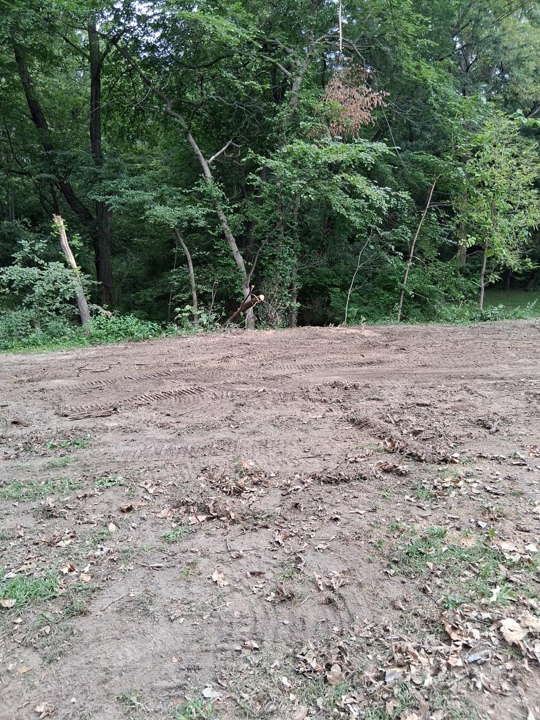 Graded, cleared ground with machine tracks against a tree line